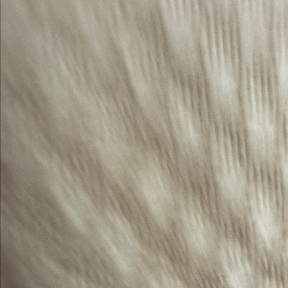 Coach Beige and White Card Holder with Gold Chain and zipper - Picture 3 of 6